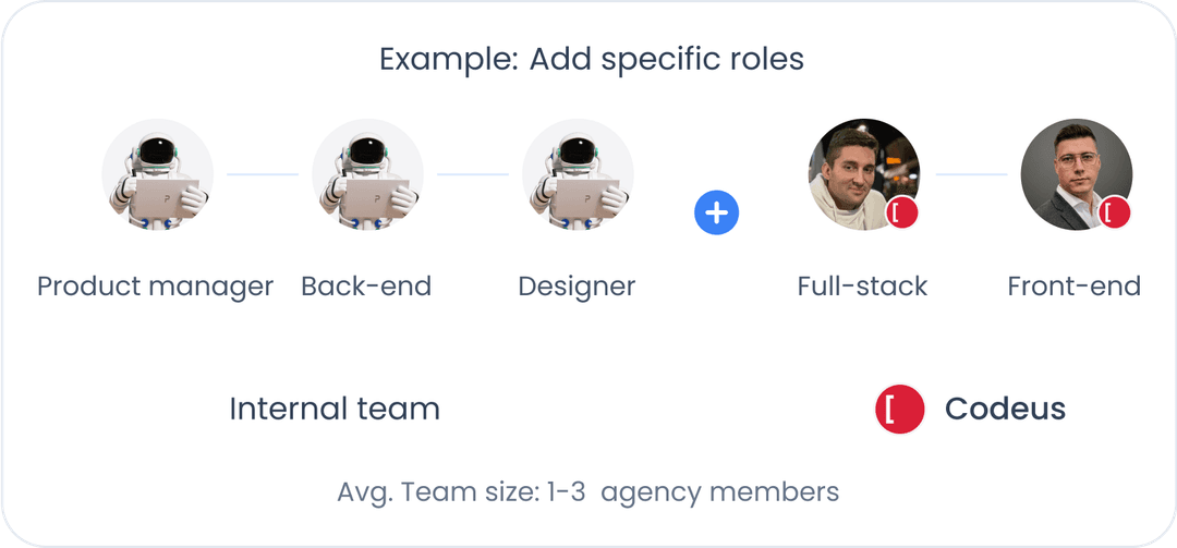 Team Augmentation